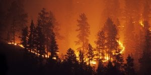 Wildfire Insurance