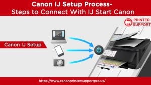cannon