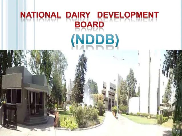 NDDB